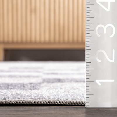 Blue and White Checkered Washable Synthetic Area Rug, 4x6