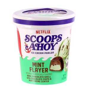Netflix Scoops Ahoy Christmas Mint Flayer Pint - 3oz - 1 of 3
