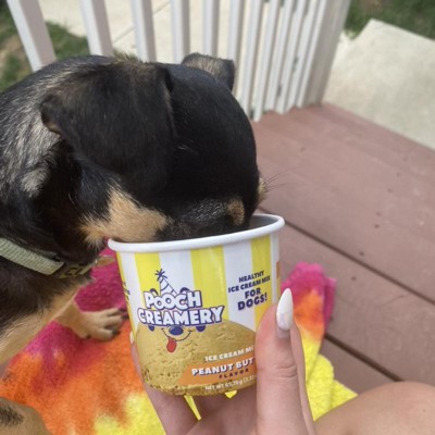 POOCH CREAMERY Peanut Butter Flavor Ice Cream Mix Dog Treat, 5.25-oz cup 