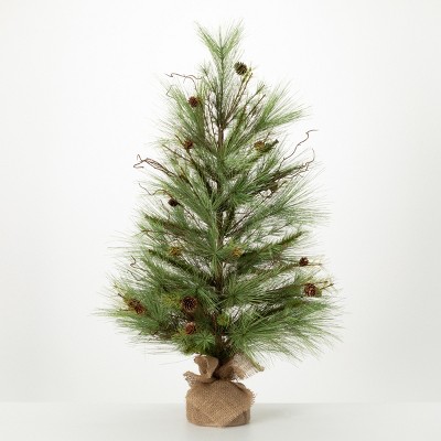 3' Sullivans Pine Tree With Curling Willow, Green