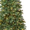 National Tree Company First Traditions Pre-Lit Linden Spruce Artificial Christmas Tree Warm White LED Lights - 3 of 3