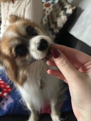 Guest review image 2 of 3, zoom in