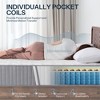 ZACHVO 12" Hybrid Full Mattress, Memory Foam, Pocket Coils, Motion Isolation, Pressure Relief, Made in USA, SE-12-F - 4 of 4