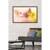 Trends International Avanti - Piglet with Daffodil Framed Wall Poster Prints - 2 of 4