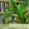 5FT Dracaena Draco Artificial Dragon Tree Dracaena Fragrans Faux Tree with Black Pot Artificial Plants for Home Office Indoor Outdoor Set of 2 - 3 of 4