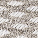 dark gray/ivory