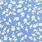 blue white flower