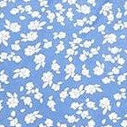 blue white flower