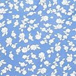 blue white flower