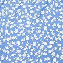 blue white flower