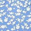 blue white flower