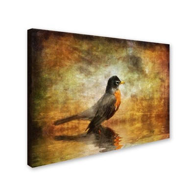 Trademark Fine Art -Lois Bryan 'The Robin' Canvas Art