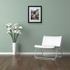 Trademark Fine Art -Monica Fleet 'Powerful Walls' Matted Framed Art - 3 of 4