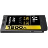 Lexar® Professional GOLD Series 1800x SDXC™ UHS-II Card, 64 GB, 2 Pack in Black - image 2 of 4