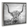 Stupell Industries Grey Highland Cow Photograph Floating Frame Canvas Art, Gray, 21" x 17" - 2 of 4