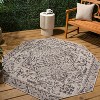 JONATHAN Y Estrella Bohemian Medallion Textured Weave Indoor/Outdoor Area Rug - 4 of 4