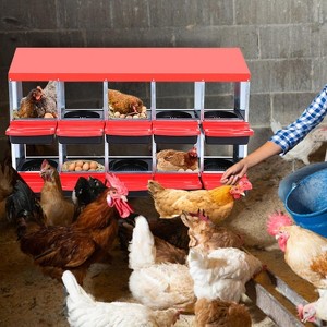 Nesting Boxes for Chickens, with Compartment Chicken Egg Laying Nest Box for Hens - 1 of 4