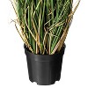 Artificial Grass Plant (24") - Vickerman: PVC Faux Curled Greenery, Indoor/Outdoor Decor, Round Black Plastic Pot - image 4 of 4