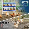 Chicken Nesting Boxes Galvanized Steel Rustproof Egg Laying Box with Egg Collection Systems, Hen Eggs Laying Box, for Chicken House/Duck House/Hen - 3 of 4