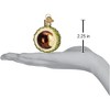Old World Christmas Blown Glass Ornament for Christmas Tree, Chestnut - 4 of 4