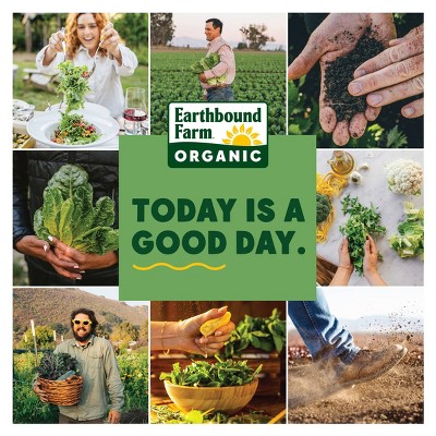 Earthbound Farms Fresh Organic 50/50 Spinach + Spring Mix Lettuces - 5oz
