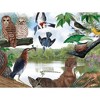New York Puzzle Company Summer Trail 1000 Piece Puzzle - 3 of 4