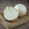 Van Zyverden 250ct Allium White Bulbs - 3 of 4