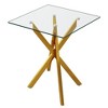 Dolonm 17.72" Square Tempered Glass End Table with Metal Legs, Set of 2, Modern Living Room Side Tables - 2 of 4