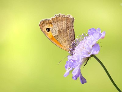 Guest review image 3 of 3, zoom in