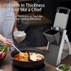 Manual Kitchen Slicer, Multi-purpose Vegetable Slicer, No need to change blades for shredding, slicing, dicing, Potato Slicer, French Fry Cutter - 2 of 4