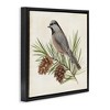 Stupell Industries Bird on Pine Tree Floating Frame Canvas Art - 2 of 4