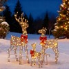 Christmas Lighted Reindeer Family Set, Weatherproof Rattan Deer with 290Warm White LEDs, 5FT Brown Outdoor/Indoor Christmas Decoration, Christmas Gift - 2 of 4