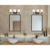 Progress Lighting, Invite Collection, 3-Light Bath Fixture, Antique Bronze, Mylar Shade - 2 of 3