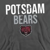 State University of New York at Potsdam Official Stacked Adult Pull-Over Hoodie - 2 of 4