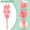 Unique Bargains Artificial Dried Flowers Realistic Look Pampas Bunny Tails Grass 17 Inch - 2 of 4
