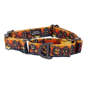 Country Brook Petz Kindred Reflective Martingale Dog Collar with
