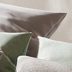 pine wood color
