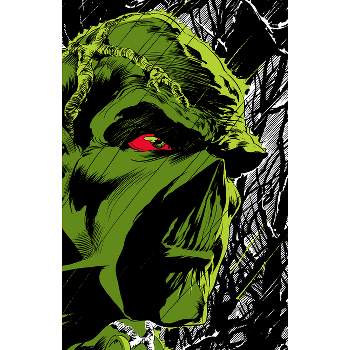 Absolute Swamp Thing by Len Wein and Bernie Wrightson - (Hardcover)