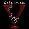 Girl's The Batman Catwoman Poster T-Shirt - 2 of 4