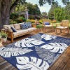 Waterproof Outdoor Reversible Rug, Boho Leaves Plastic Straw Mat for Patio, RV, Deck, or Beach - 4 of 4