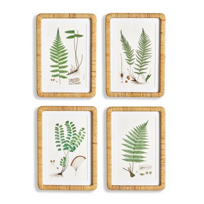 Plum & Post Forest Fern Prints, Set Of 4