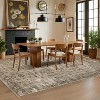 coucheta Multi-size Washable Vintage Boho Area Rug for Living Room, Distressed Large Soft Non-Slip Oriental Throw Carpet, for Bedroom, Dining Room - 4 of 4