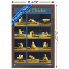Trends International Lucia Heffernan Art - Yoga Chicks Framed Wall Poster Prints - 3 of 4