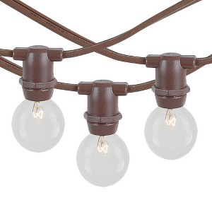 Novelty Lights Globe Outdoor String Lights with 100 Bulbs G30 Vintage Bulbs Brown Wire 100 Feet - 1 of 4