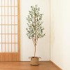 Tree City 5 Ft Artificial Olive Tree in White Planter–Faux Silk Olive Tree with Realistic Wood Trunk &Lifelike Fruits - 2 of 3