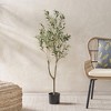 3.9ft Artificial Olive Tree, Realistic Potted Olive Tree, Artificial Olive Tree Plants with Leaves and Fruits - 4 of 4