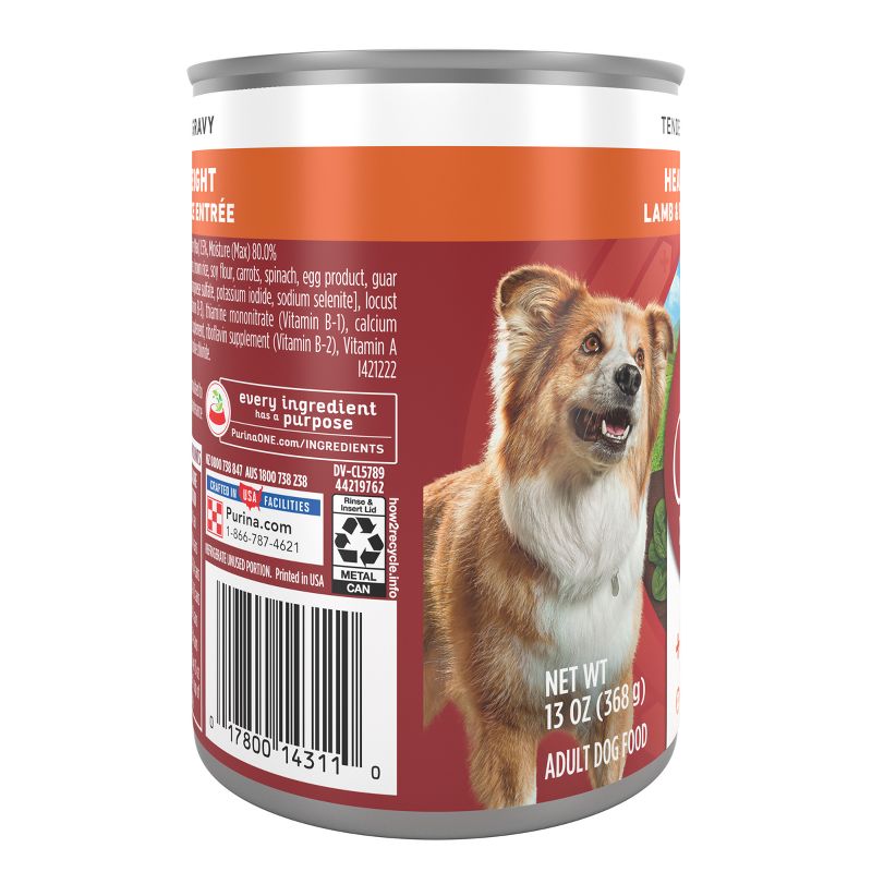 Purina ONE SmartBlend Tender Cuts in Gravy Wet Dog Food - 13oz, 5 of 7
