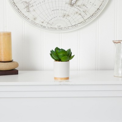 Desert Essence 7" Potted Plastic Succulent in White Planter