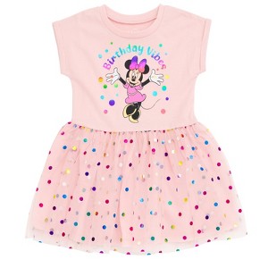 Disney Minnie Mouse Mickey Mouse Rainbow Tulle Dress Toddler to Big Kid - 1 of 4