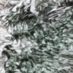 grey/green